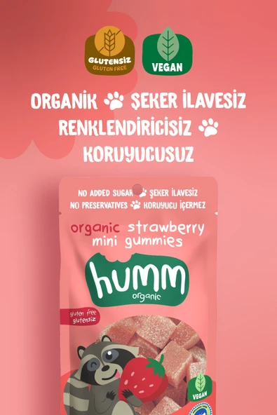 Humm Organic Organik Glutensiz Vegan Çilekli Mini Küpler - 30g - 2