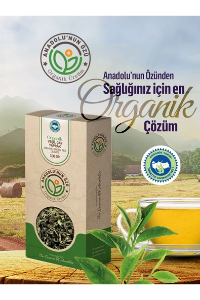 anadolu'nun özü organik üretim Organik Yeşil Çay Yaprak ''100gr'' - 2