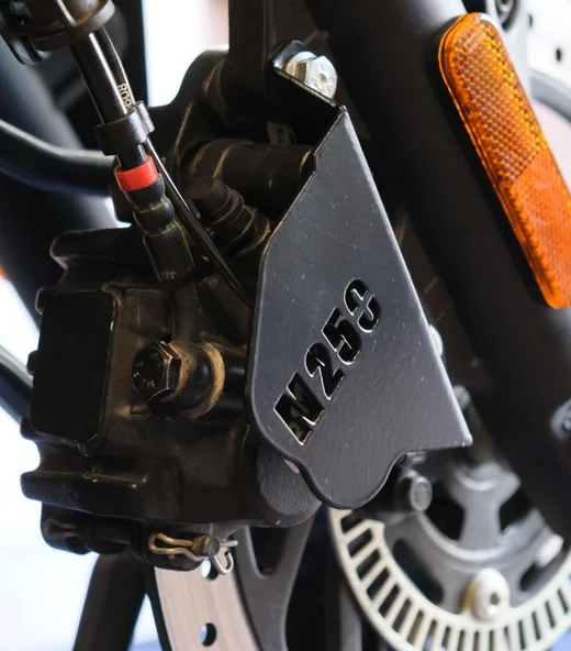 Bajaj Pulsar N250 Kaliper Koruma - 2