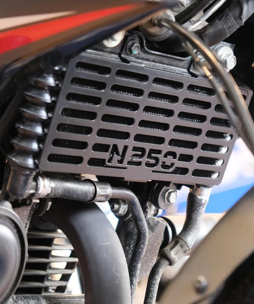 Bajaj Pulsar N250 Radyatör Koruma - 2