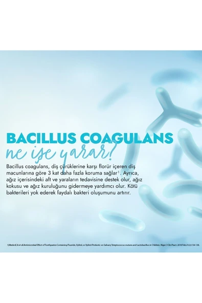 Glimo Pi Probiyotikli Doğal Diş Macunu 75ml - 6