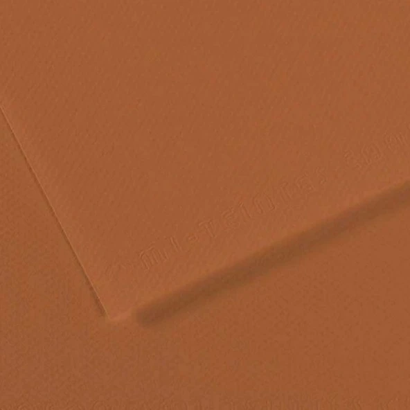 Canson Fon Kartonu (Dokulu) Mı-Teıntes Sh Canmt 50x65 160 GR Brown 187