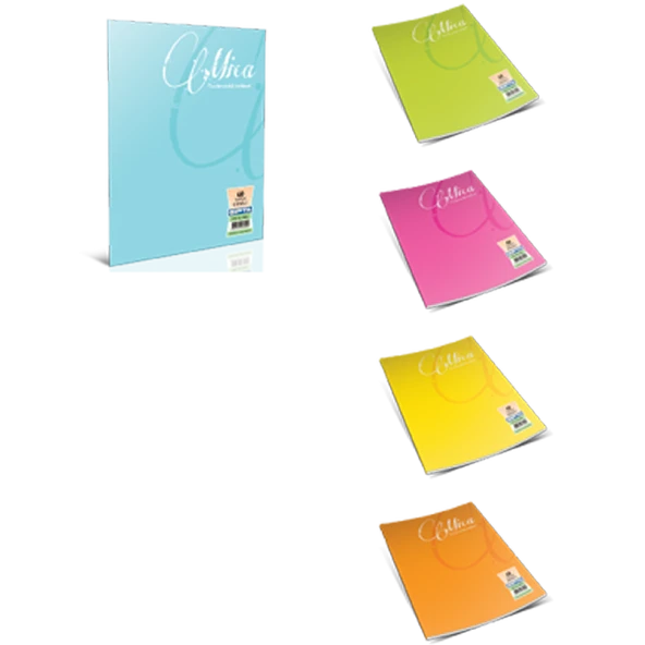 Gıpta Defter (Dikişli ) Mica Plastik Kapak Kareli 60 YP A5 1712