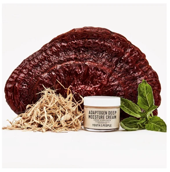 Youth To The People Adaptogen Deep Moisture Cream - Yatıştırıcı Ve Nemlendirici Krem 59 ml - Resim 4