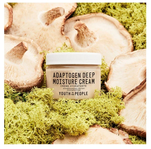 Youth To The People Adaptogen Deep Moisture Cream - Yatıştırıcı Ve Nemlendirici Krem 59 ml - Resim 2