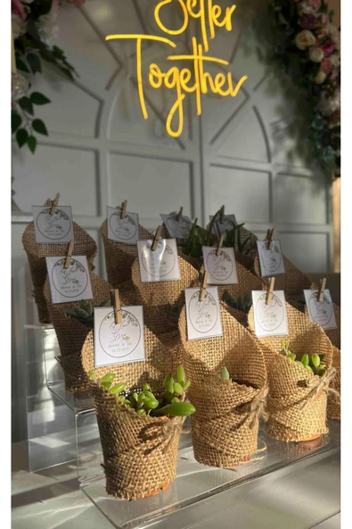 Özel Tasarım Pleksi 3 Katlı Merdiven Stand (ŞEFFAF 30CM) - 1 - Plastik - 30 x 20 - Makyaj - 10 - Resim 2