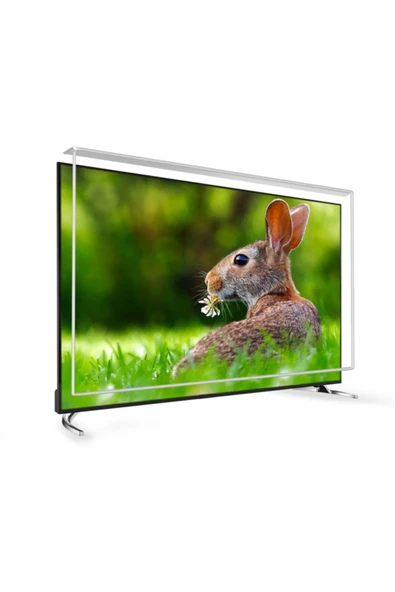 70 Inç 178 Ekran Tv Ekran Koruyucu  LG Ekran Koruma Paneli