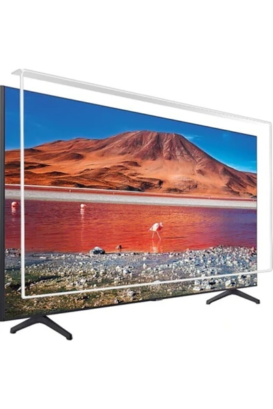 65" Inç Tv Ekran Koruyucu 165 Ekran