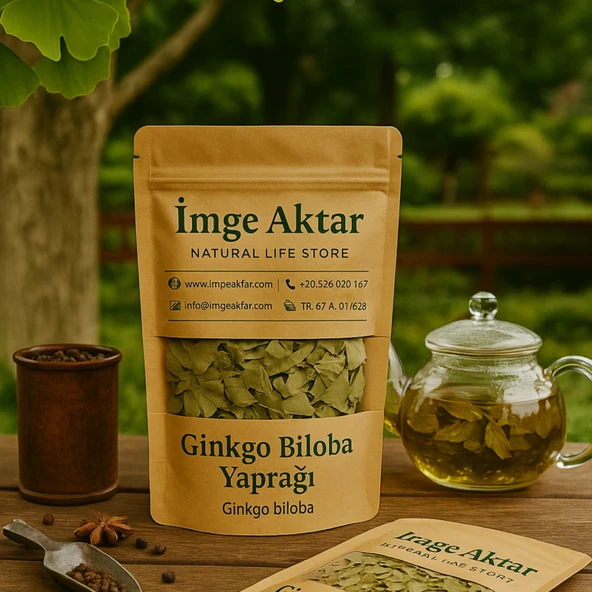 Ginkgo Biloba Yaprağı 25g - Resim 2