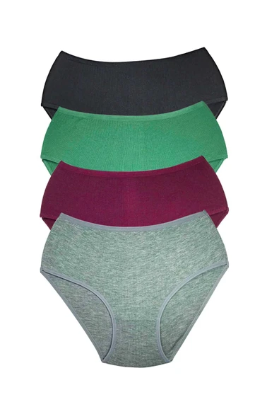 4 Adet Kadın Yüksek Bel Ribana Bato Külot S042 - Resim 2