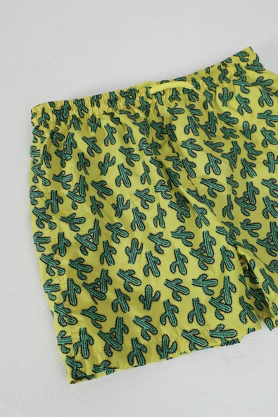 Erkek Çocuk Fileli Kaktüs Deniz Şortu Sarı - Resim 2