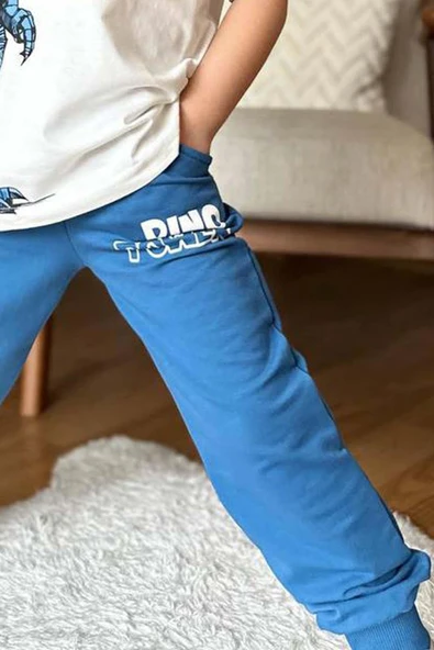Erkek Çocuk Dinazor Digital Baskı Ve Yazı Detaylı T-Shirt Mavi Eşofman Takım - 5