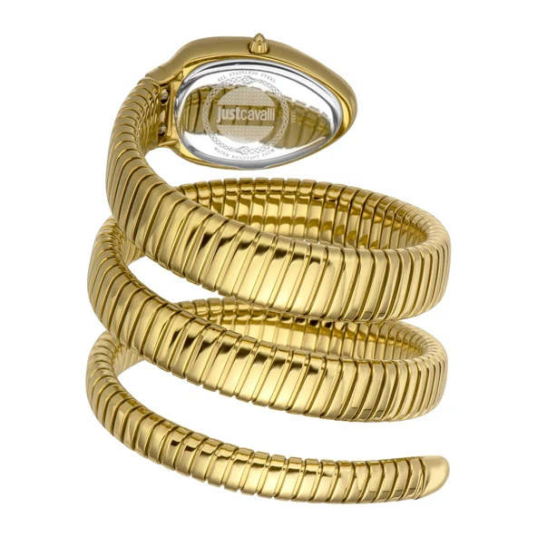 Just Cavalli JC1L224M0035 Kadın Kol Saati - Resim 2