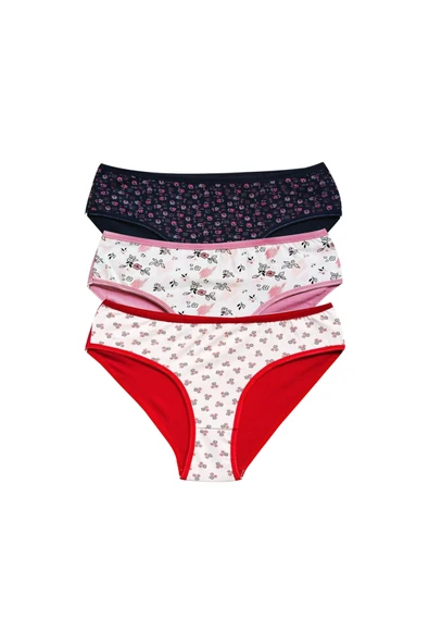 Pamuklu Geniş Kenarlı Likralı Desenli Bato Kadın Külot 3'lü Paket Set2 - Resim 2