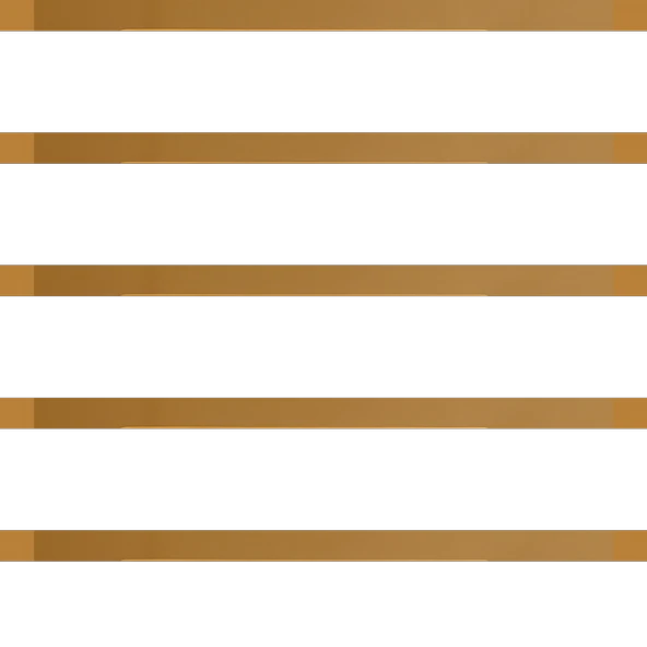 Seylan Tarçını Çubuk 40g ürün görseli