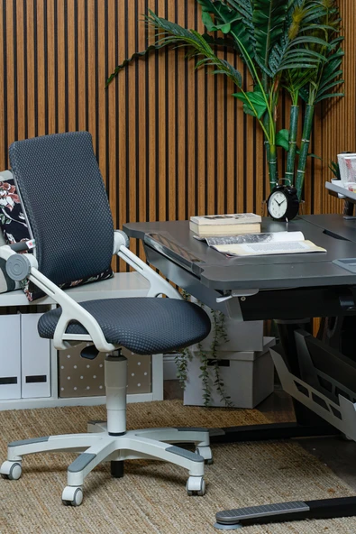 Creo Mobili Yükseklik ve Sırt Ayarlı Sirius Çalışma Sandalyesi Ofis, Bilgisayar Koltuğu Antrasit/Gri