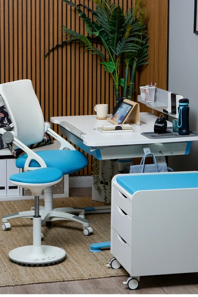 Creo Mobili Yükseklik ve Sırt Ayarlı Sirius Çalışma Sandalyesi Ofis ve Bilgisayar Koltuğu Beyaz/Mavi - 2