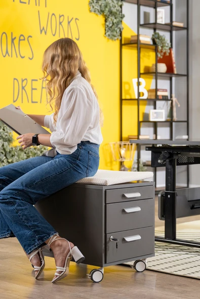 Creo Mobili Çekmeceli Kilitli Tekerlekli Vega Keson, Oturulabilir Ofis ve Ev Komodini, Beyaz/Gri - 6