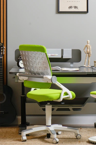 Creo Mobili Yükseklik ve Sırt Ayarlı Sirius Çalışma Sandalyesi Ofis, Bilgisayar Koltuğu Yeşil/Yeşil