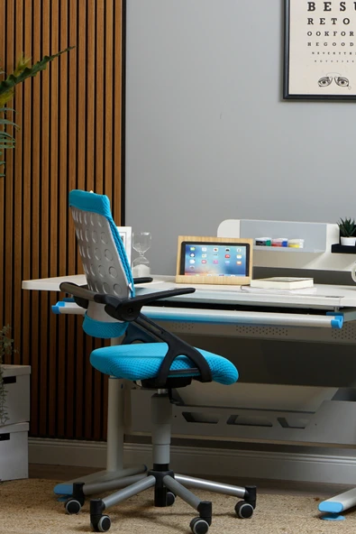 Creo Mobili Yükseklik Ayarlı Vega Çalışma Sandalyesi, Ofis ve Bilgisayar Koltuğu Mavi/Mavi - 3