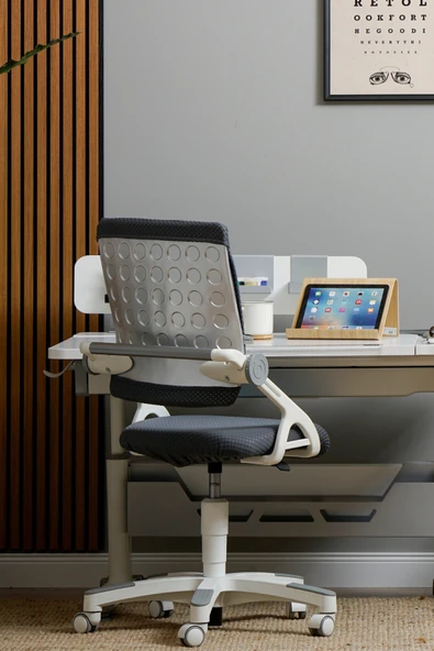 Creo Mobili Yükseklik ve Sırt Ayarlı Sirius Çalışma Sandalyesi Ofis, Bilgisayar Koltuğu Antrasit/Gri - 2