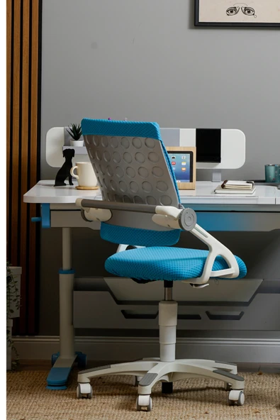 Creo Mobili Yükseklik ve Sırt Ayarlı Sirius Çalışma Sandalyesi Ofis ve Bilgisayar Koltuğu Mavi/Mavi - 2