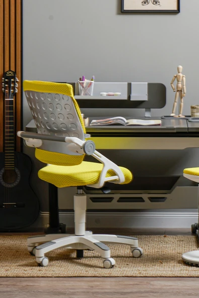 Creo Mobili Yükseklik ve Sırt Ayarlı Sirius Çalışma Sandalyesi Ofis ve Bilgisayar Koltuğu Sarı/Sarı - 3