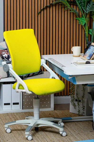 Creo Mobili Yükseklik ve Sırt Ayarlı Sirius Çalışma Sandalyesi Ofis ve Bilgisayar Koltuğu Sarı/Sarı - 2