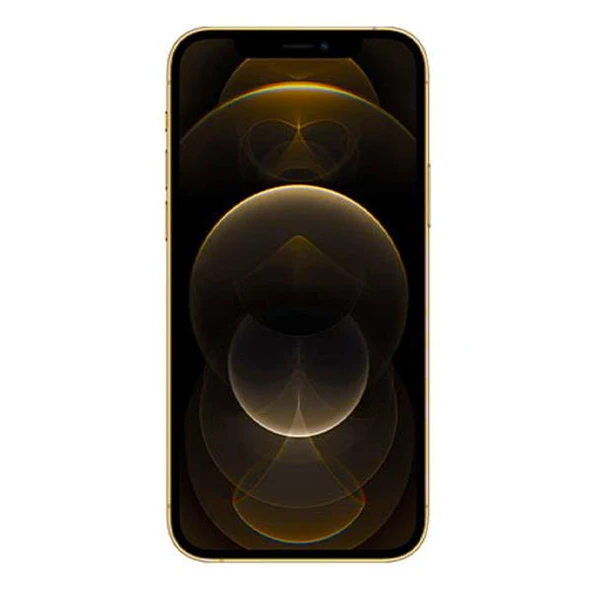 APPLE IPHONE 12 PRO MAX GOLD 256GB YENILENMIS B KALITE (12 AY GARANTILI) - Resim 2