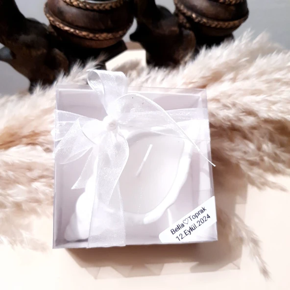 10 Adet Deniz Kabuğu Mumluk - Resim 2