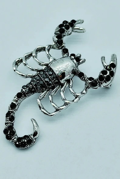 Gizemli Akrep Broş - Resim 2