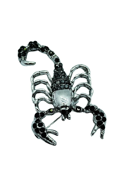 Gizemli Akrep Broş - Resim 3