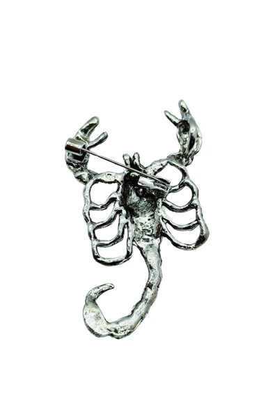 Gizemli Akrep Broş - Resim 4