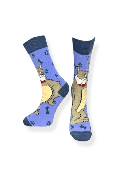 Tekli Unisex Anime Desenli Mavi Renkli Esnek Nem Alabilen Pamuklu Çorap - Resim 2