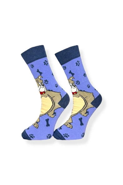 Tekli Unisex Anime Desenli Mavi Renkli Esnek Nem Alabilen Pamuklu Çorap - Resim 3