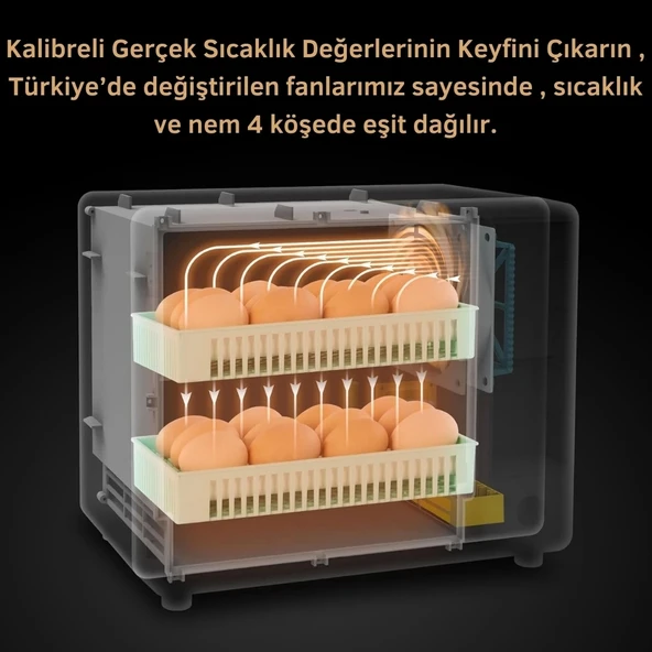 24 Yumurtalık Tam Otomatik Hobi Kuluçka Makinesi | Kabin Tip Model - 4
