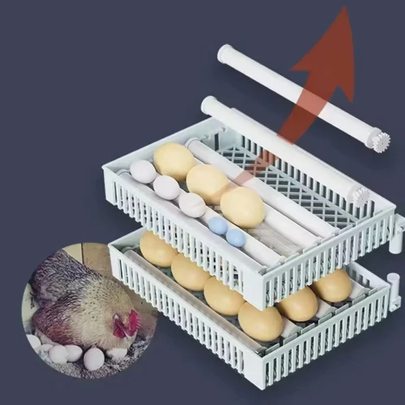 24 Yumurtalık Tam Otomatik Hobi Kuluçka Makinesi | Kabin Tip Model - 8