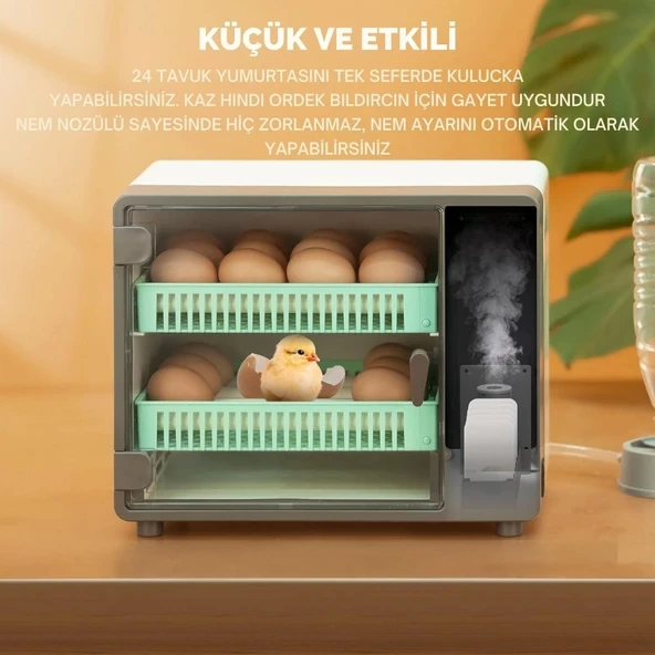 24 Yumurtalık Tam Otomatik Hobi Kuluçka Makinesi | Kabin Tip Model