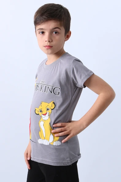 ERKEK ÇOCUK TSHİRT KARAKTER BASKILI BİSİKLET YAKA E36 - 11