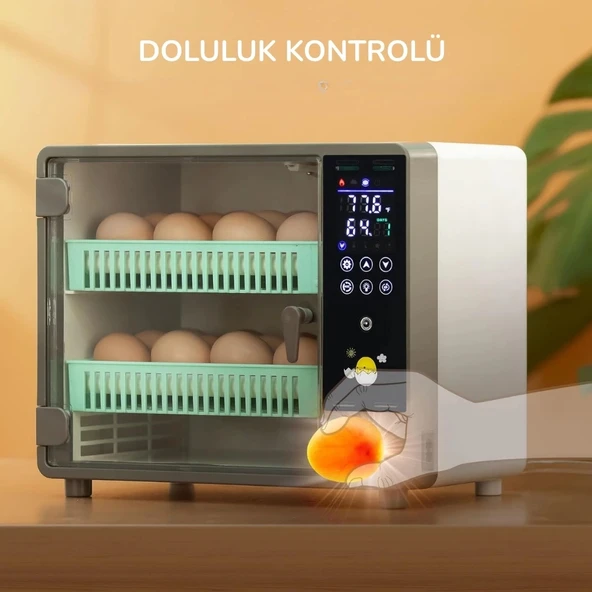 24 Yumurtalık Tam Otomatik Hobi Kuluçka Makinesi | Kabin Tip Model - 2