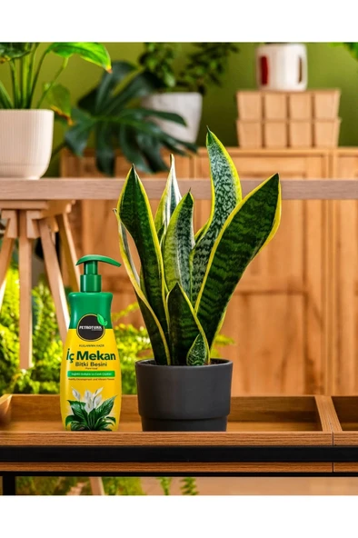 Petroturk İç Mekan Sıvı Bitki Besini Kullanıma Hazır Sağlıklı Büyüme Ve Canlı Yapraklar - 4