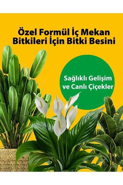 Petroturk İç Mekan Sıvı Bitki Besini Kullanıma Hazır Sağlıklı Büyüme Ve Canlı Yapraklar - 6