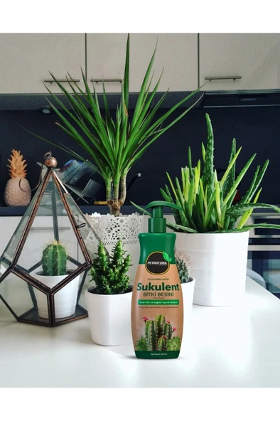 Petroturk Sukulent Sıvı Bitki Besini Kullanıma Hazır Güçlü Kök Ve Sağlıklı Yapraklar - 6