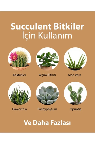 Petroturk Sukulent Sıvı Bitki Besini Kullanıma Hazır Güçlü Kök Ve Sağlıklı Yapraklar - 4