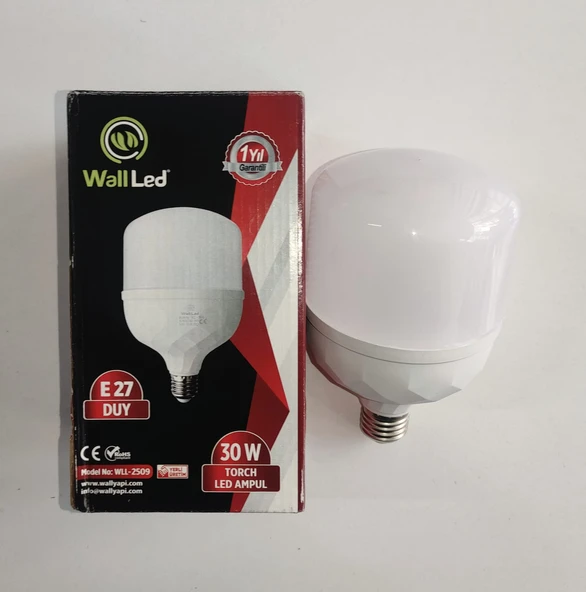 WALL LED 30W Torch Ampul