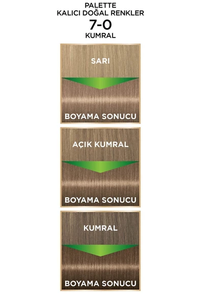 PALETTE Kalıcı Doğal Renkler 7-0 Kumral - 3