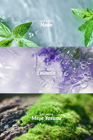 AVON Musk Marine Erkek Parfüm Edt 75 Ml. - 3