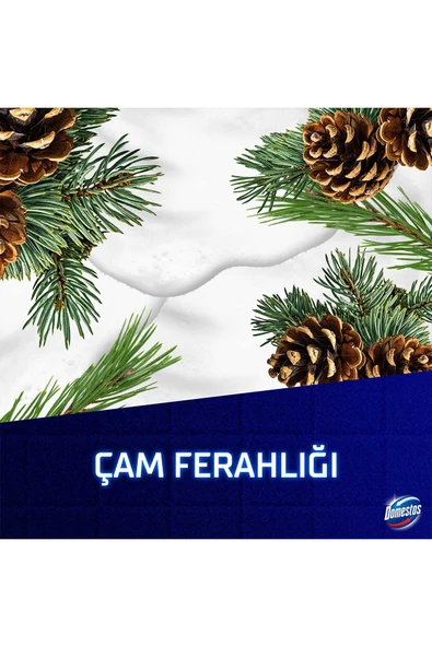 DOMESTOS Köpük Gücü Köpük Çamaşır Suyu Çam Ferahlığı 450 ml X3 - 8