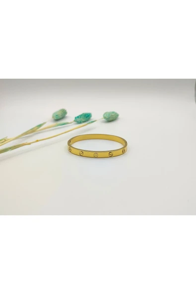 DESSİMOR CARTİER ÇELİK BİLEKLİK - 2