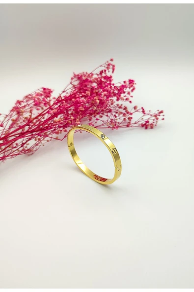 DESSİMOR CARTİER GOLD ZİRKON TAŞLI ÇELİK BİLEKLİK